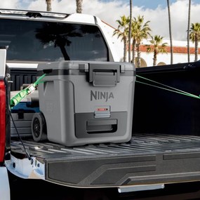 Lada frigorifica Ninja FrostVault FB230EUGY, 28 l, Pasiva, 48 doze, Pastreaza gheata pana la 5 zile, Compartiment uscat, Roti, Gri