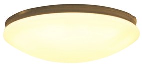Lampă de tavan 40 cm incl. LED cu telecomandă - Extrema
