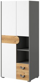 Comodă typ CA1 Caryl (deschis grafit + Alb lucios + Stejar nash). 1040641