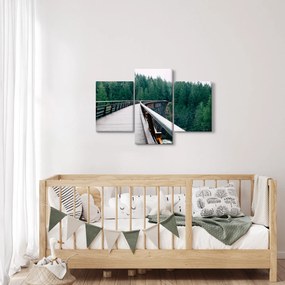 Tablou - Pod spre vârfurile copacilor (90x60 cm)