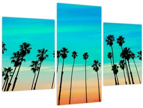 Tablou - California (90x60 cm)