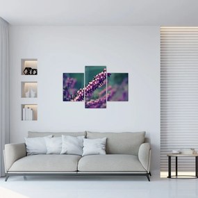 Tablou cu floare violetă (90x60 cm)