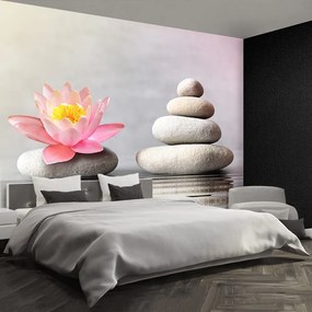 Fototapet Spa pietre