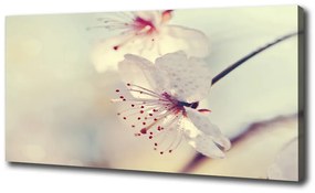 Tablou pe pânză Floare de cires