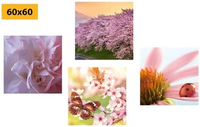 Set tablouri înflorirea naturii