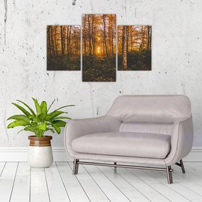 Tablou - Pădurea toamna (90x60 cm)