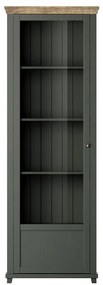 Vitrină Elvina Typ 05 (verde închis + stejar lefkas) (S). 1022379