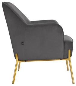 Fotoliu gri cu tapițerie din catifea Runa – Støraa