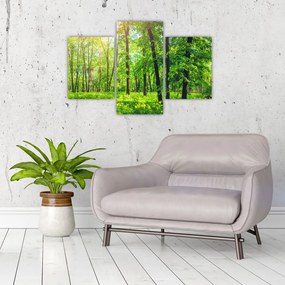 Tablou - Pădurea cu frunze de primăvară (90x60 cm)