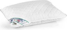 Set lemn masiv 2 Perne Hipoalergenice Matlasate cu Microfibra 60x60 cm