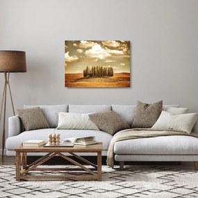 Tablou pe sticlă cu luncă (70x50 cm)