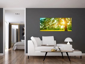 Tablou - Pădurea însorită (120x50 cm)