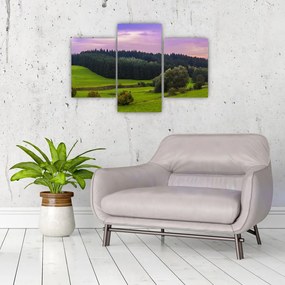 Tablou cu lunca (90x60 cm)