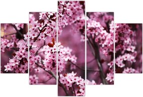 Tablou - Sakura roz (150x105 cm)