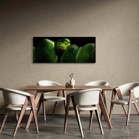 Tablou - Șarpele verde (120x50 cm)