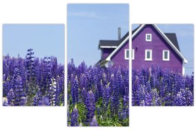 Tablou cu câmp de lavanda (90x60 cm)