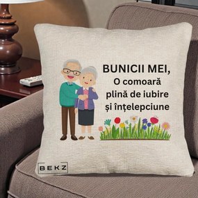 Cadou pentru Bunici - Perna Personalizata Bunicii Mei Comoara Cuplu Senior cu Flori Colorat, 40x40 cm, Bej Canapea, Husa Detasabila, Perna Inclusa, BEKZ®