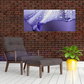 Tablou - Petală cu picături (120x50 cm)