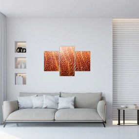 Tablou - Detaliu de textură (90x60 cm)