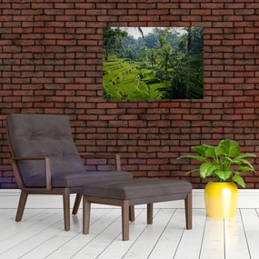 Tablou cu terasele cu orez Tegalalang, Bali (70x50 cm)