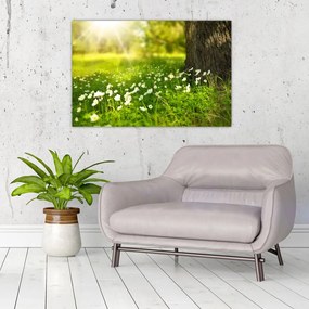 Tablou cu poiana și flori (90x60 cm)