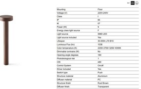 Stalp LED iluminat exterior IP65 ESPO H-60cm maro rustic