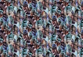 Fototapet - Pene (254x184 cm)