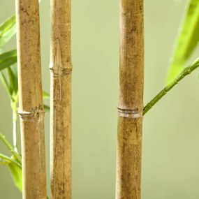 HOMCOM Plantă artificială Bambus arbore artificial înălțime 180 cm cu ghiveci, decor interior, foarte realist | Aosom Romania