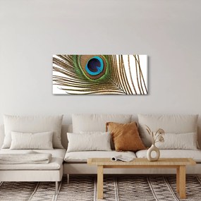 Tablou cu pene de păun (120x50 cm)
