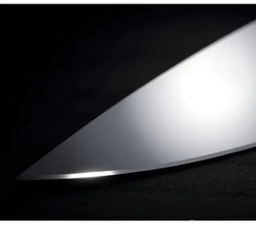 WMF - Set de cuțite de bucătărie GRAND WOOD, 3 piese