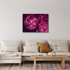 Tablou - Floarea bujorului (70x50 cm)