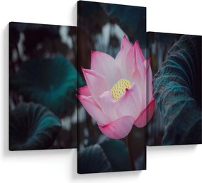 Tablou cu floare roz (90x60 cm)