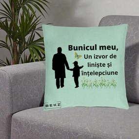 Cadou pentru Bunic - Perna Personalizata Bunicul Meu Izvor de Liniste cu Fluture si Baietel, 40x40 cm, Verde Menta, Husa Detasabila, Perna Inclusa, BEKZ®