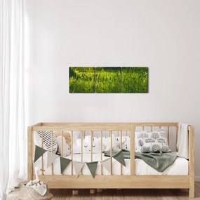 Tablou cu natura - lunca (cu ceas) (90x30 cm)