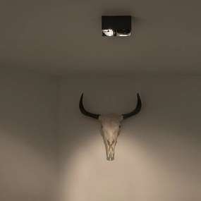 Spotlight de design negru dreptunghiular cu 2 lumini - Box