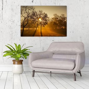 Tablou cu răsăsrit de soare (90x60 cm)