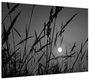 Tablou pe sticlă - Pajiște cu apus de soare (70x50 cm)