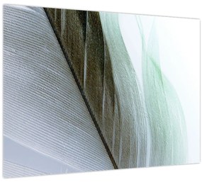 Tablou pe sticlă - Pene, macro (70x50 cm)