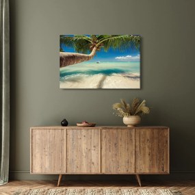 Tablou - Mare curată cu palmier (90x60 cm)