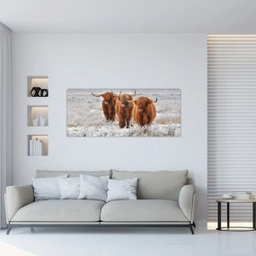 Tablou - Vaci scoțiene (120x50 cm)