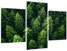 Tablou - Pădure (90x60 cm)