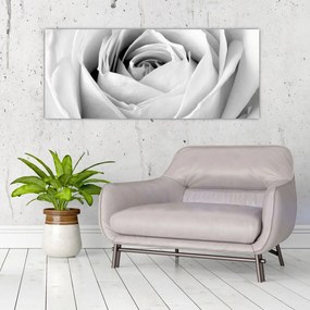 Tablou - Detailu de floare de trandafir (120x50 cm)