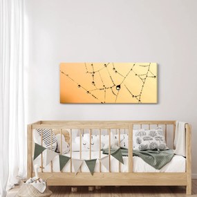 Tablou cu pânză de pâianjen cu rouă (120x50 cm)