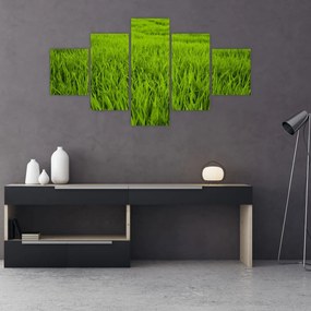 Tablou cu iaraba (125x70 cm), în 40 de alte dimensiuni noi