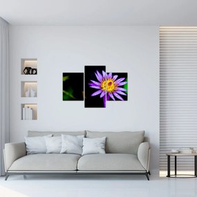 Tablou cu floare (90x60 cm)