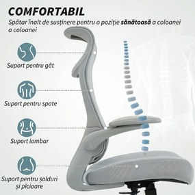HOMCOM Scaun de birou ergonomic cu cotiere reglabile și tetieră, gri | Aosom Romania