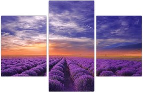 Tablou câmpului cu lavandă (90x60 cm)