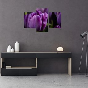 Tablou cu flori de lalele (90x60 cm)