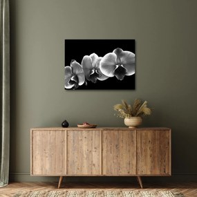 Tablou floare de orhidee (70x50 cm)