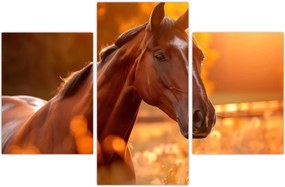 Tablou - Cal în apus de soare (90x60 cm)